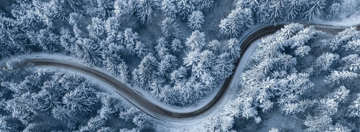 Birds eye view of pine trees covered in snow and a winding road